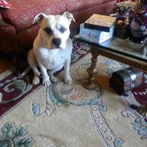 Meet your Posher, Larry